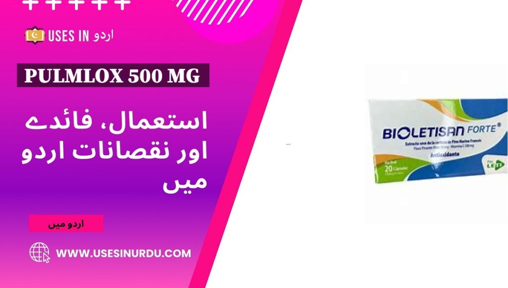 Pulmlox 500 Mg