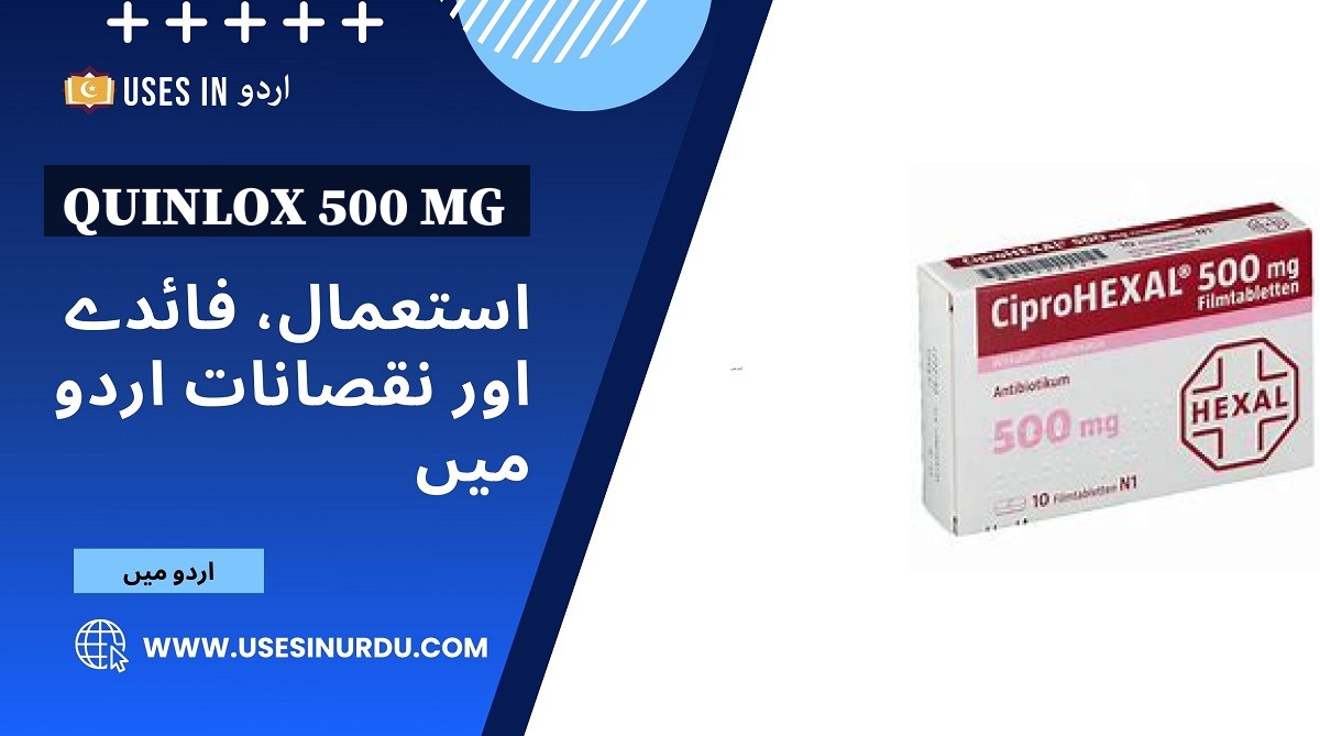 Quinlox 500 Mg