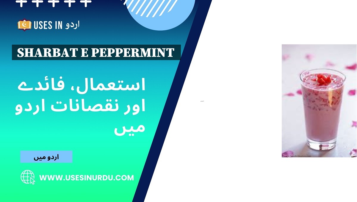 Sharbat E Peppermint