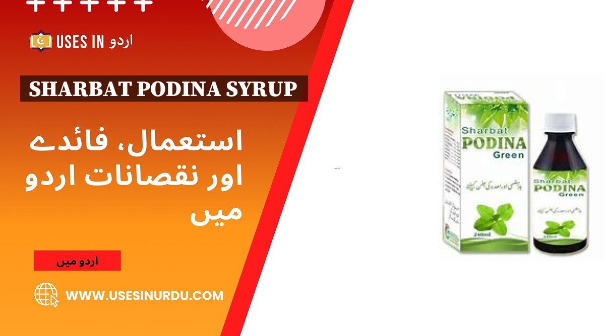 Sharbat Podina Syrup