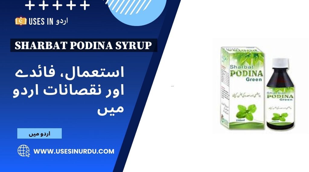 Sharbat Podina Syrup