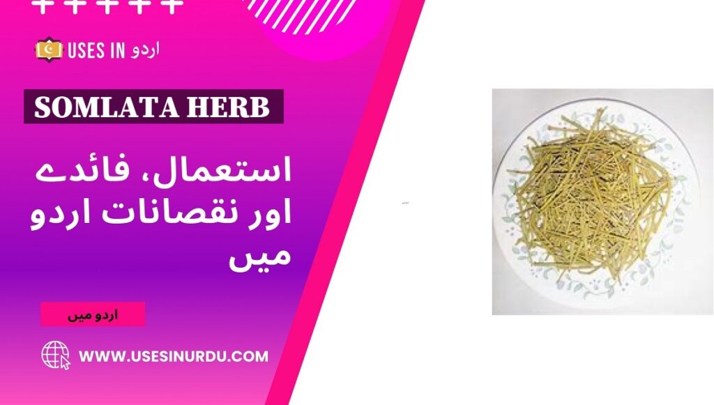 Somlata Herb