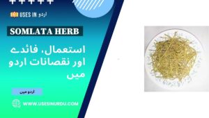 Somlata Herb
