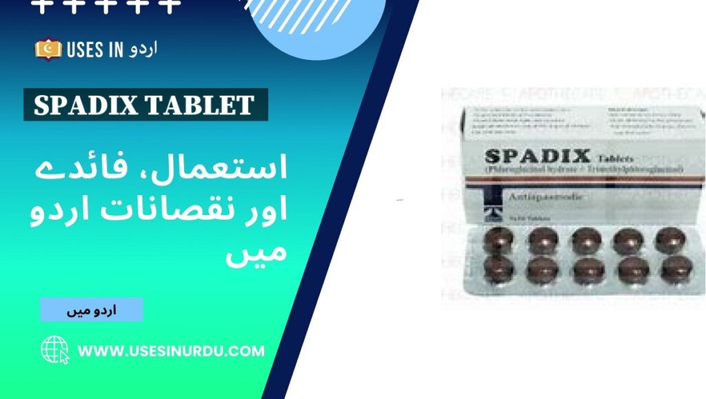 Spadix Tablet