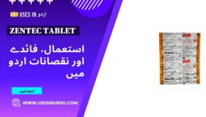 Zentec Tablet