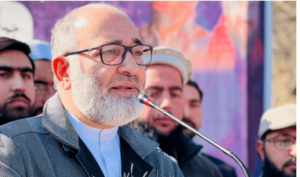 اسرائیل مخالف احتجاج کے دوران گرفتار سابق سینیٹر مشتاق احمد سمیت 24 ملزمان کی ضمانت منظور