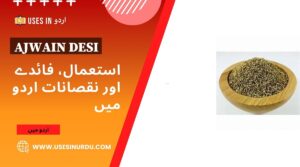 Ajwain Desi