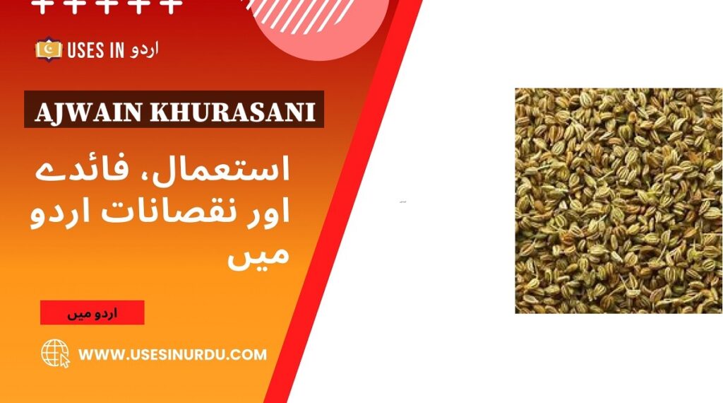 Ajwain Khurasani