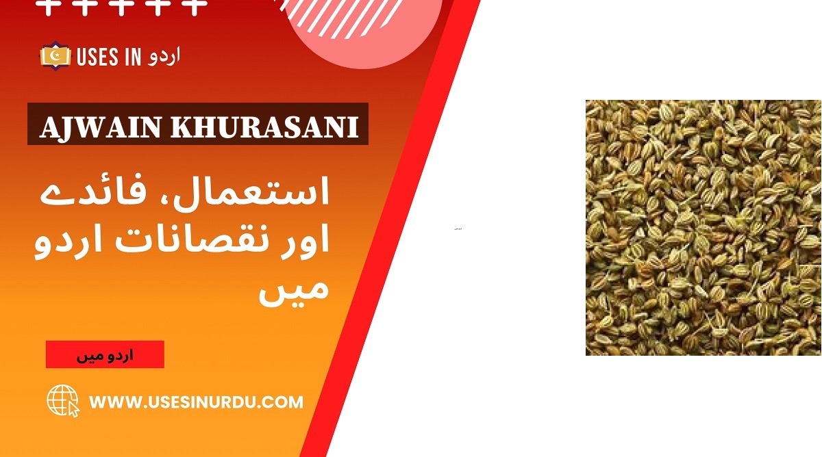 Ajwain Khurasani