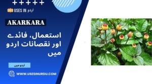 Akarkara