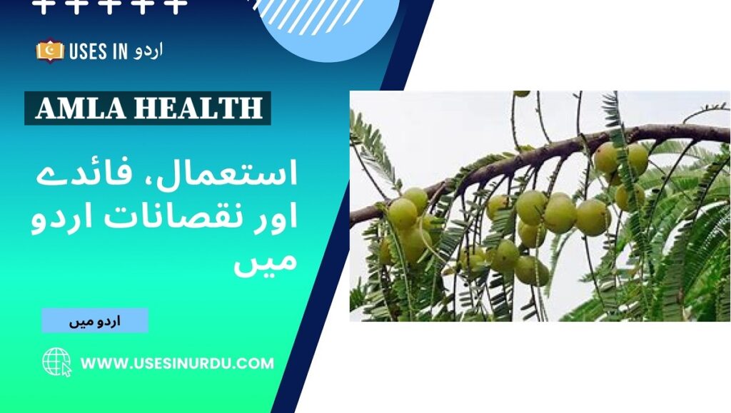 Amla Health