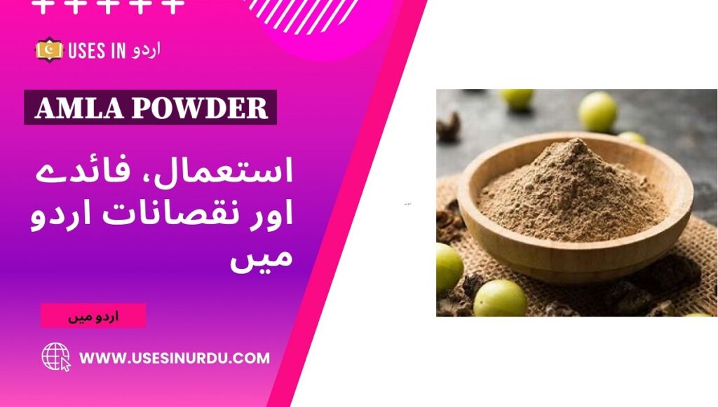 Amla Powder