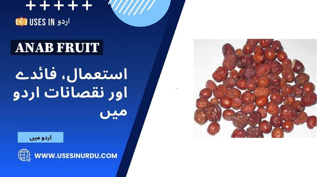 Anab Fruit