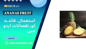 Ananas Fruit