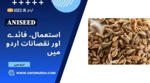 Aniseed
