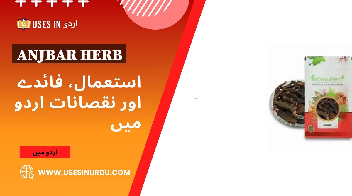 Anjbar Herb