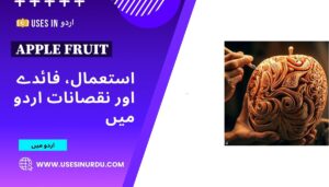 Apple Fruit