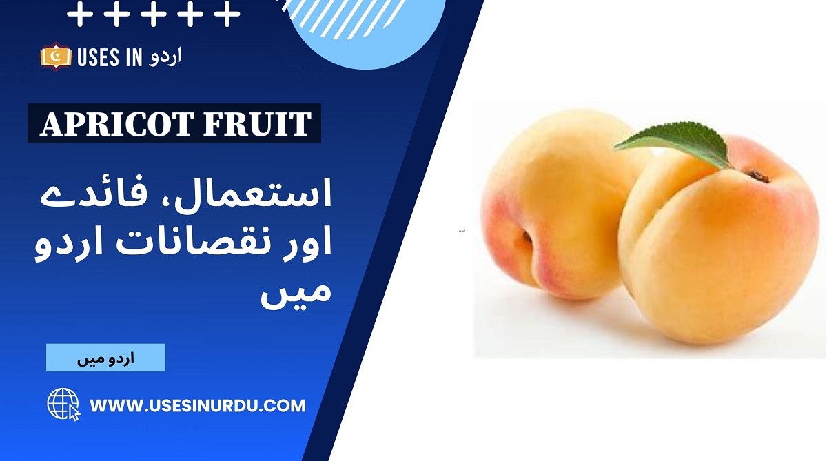 Apricot Fruit