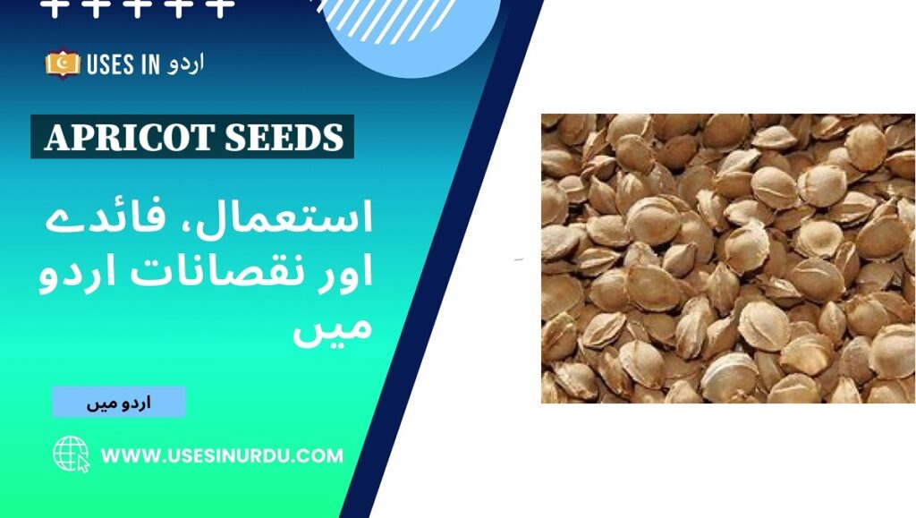 Apricot Seeds