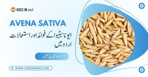 Avena Sativa Uses and Benefits in Urdu