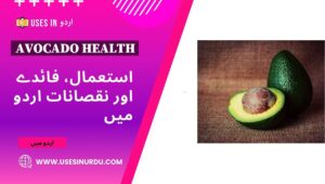 Avocado Health