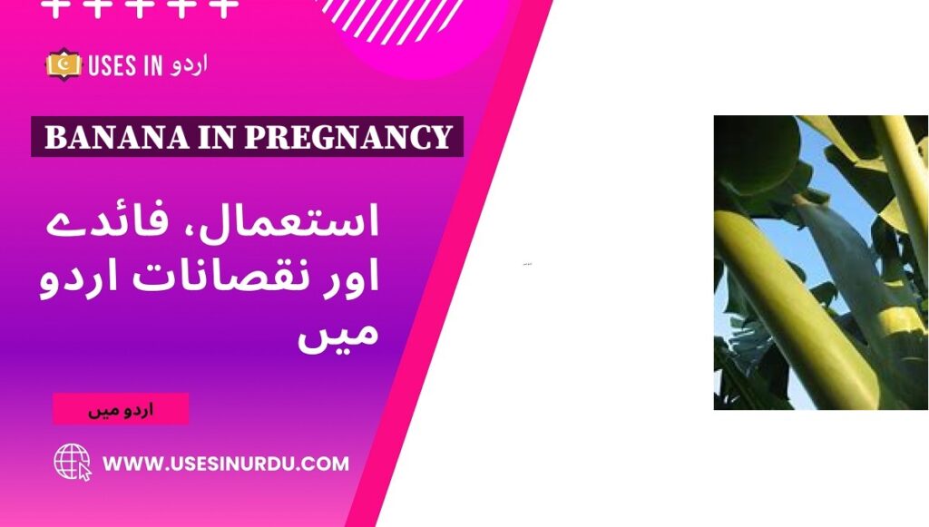 Banana in Pregnancy