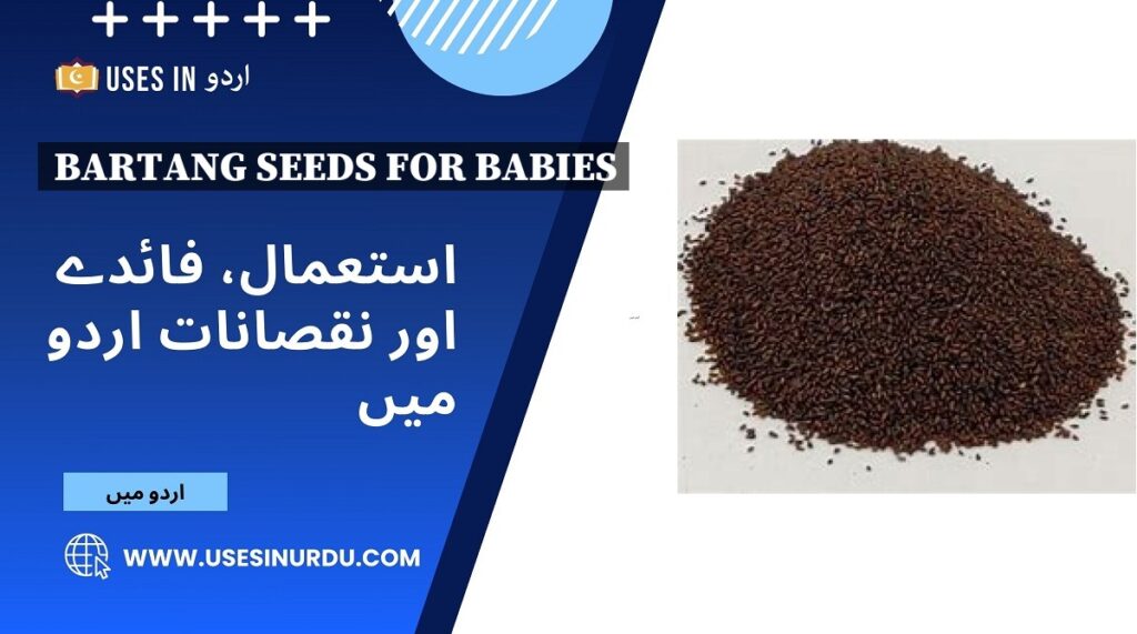 Bartang Seeds for Babies