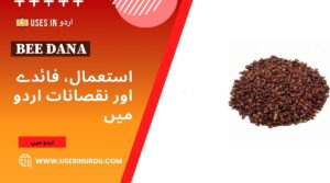 Bee Dana