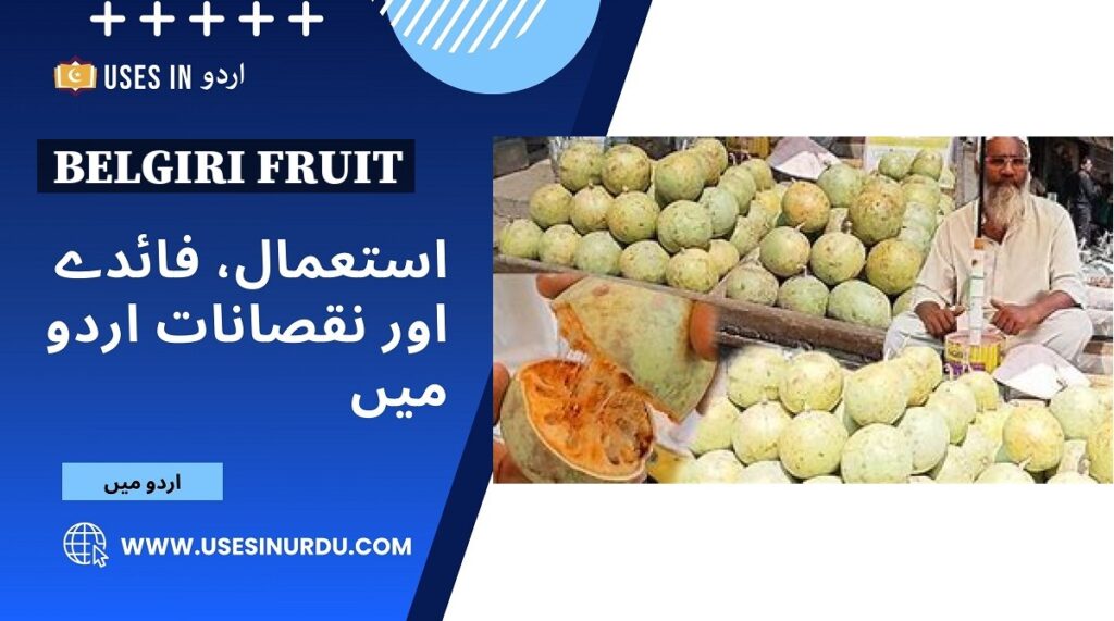 Belgiri Fruit