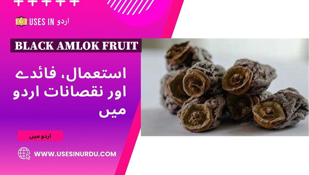 Black Amlok Fruit