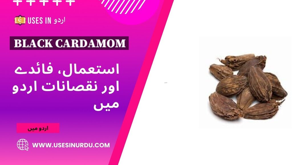 Black Cardamom