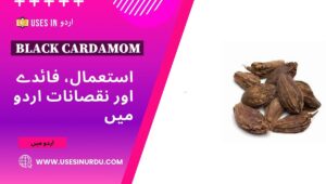 Black Cardamom