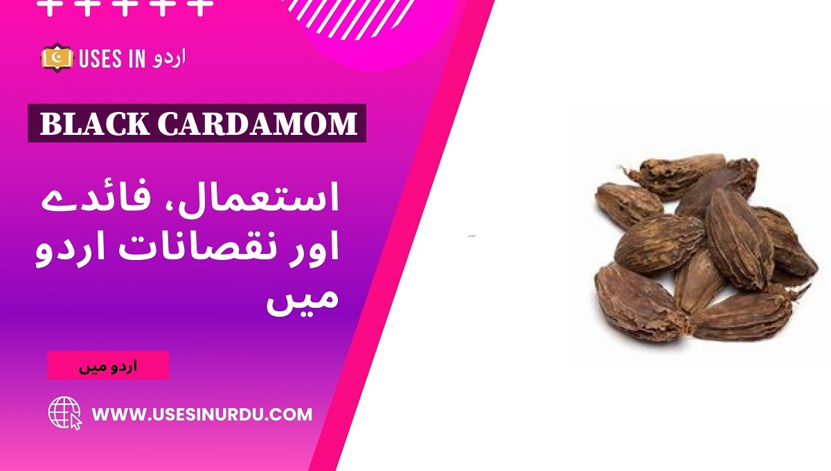 Black Cardamom