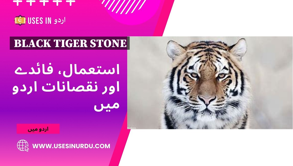 Black Tiger Stone