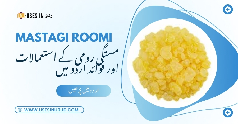 Mastagi Roomi Uses and Benefits in Urdu