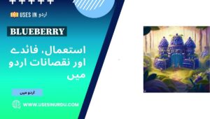 Blueberry
