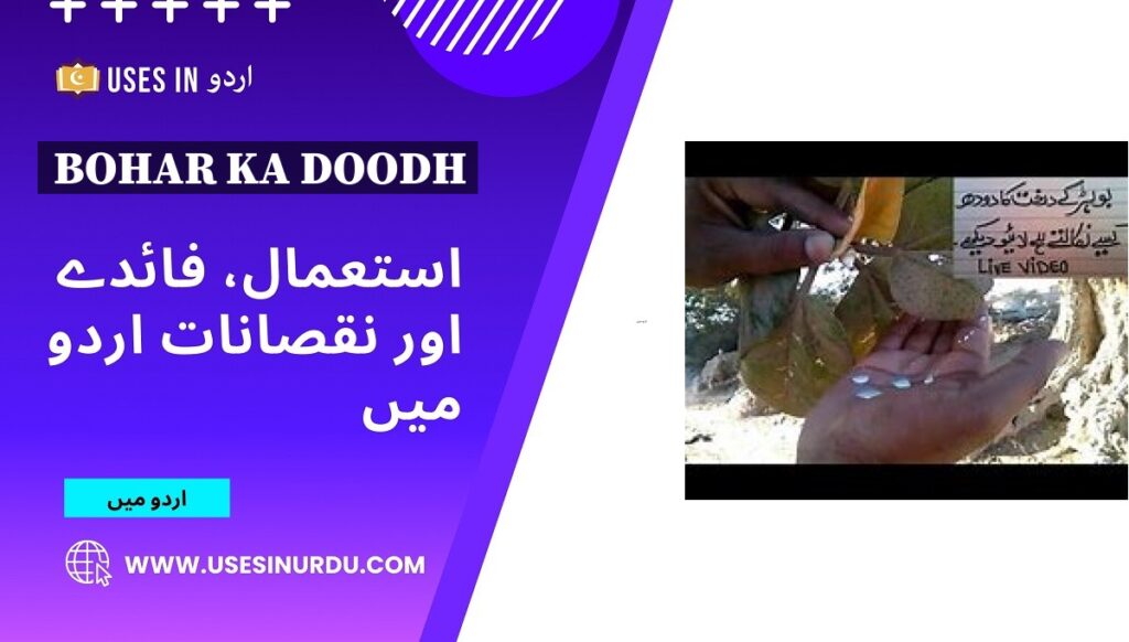 Bohar Ka Doodh