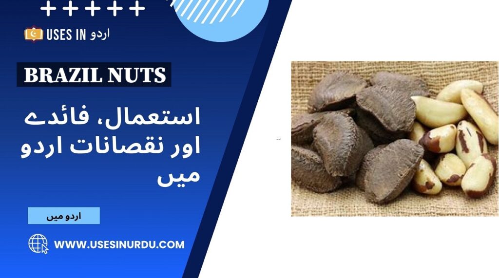 Brazil Nuts