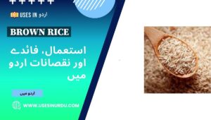 Brown Rice