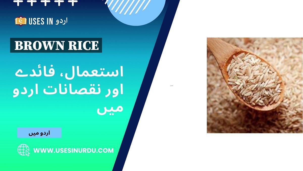 Brown Rice