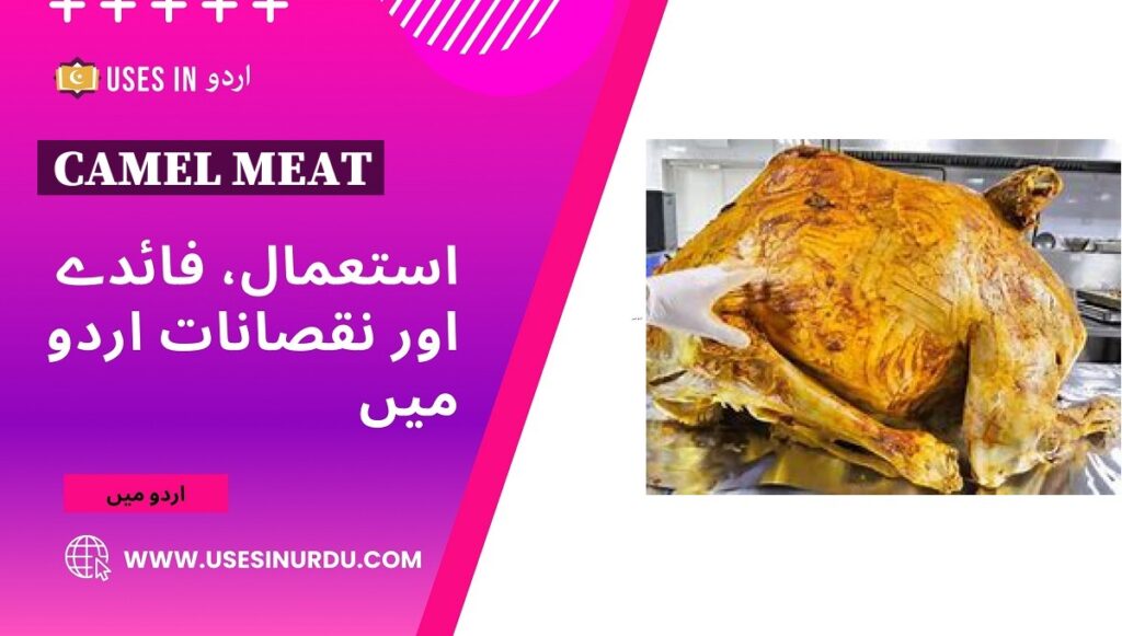 Camel Meat