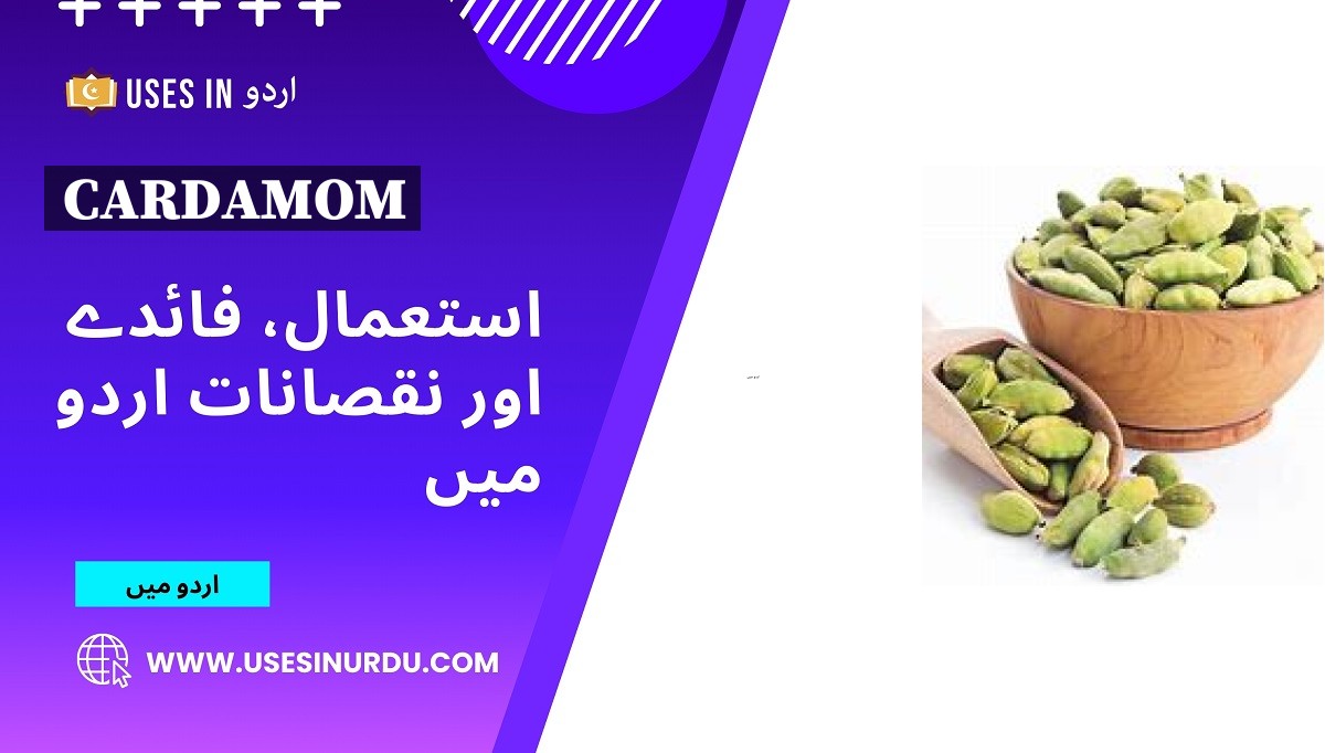 Cardamom