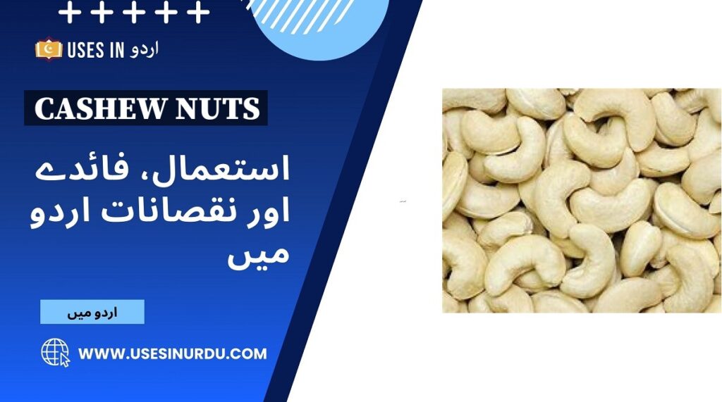 Cashew Nuts