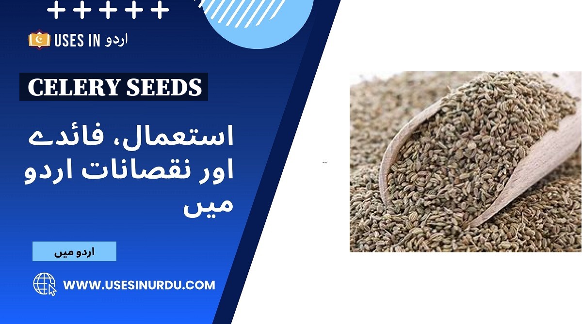 Celery Seeds