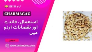 Charmagaz