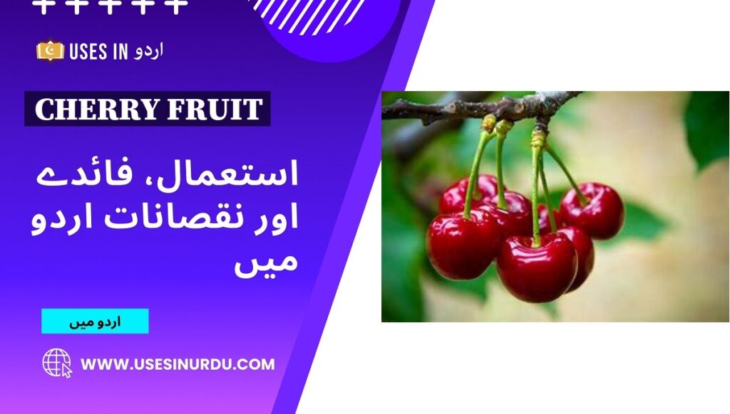 Cherry Fruit