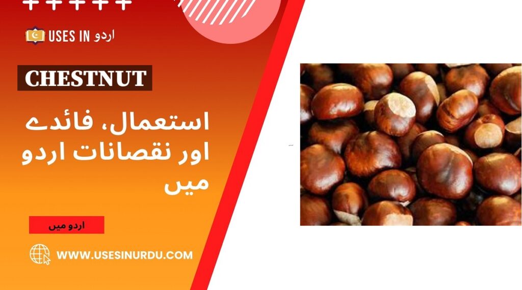 Chestnut