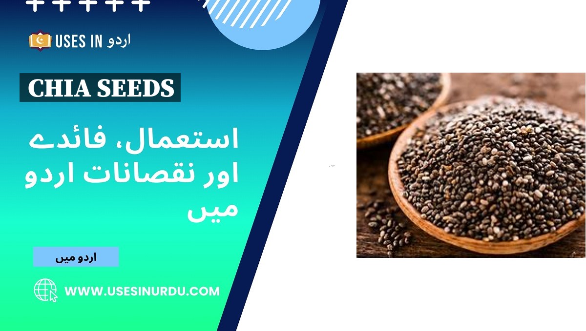 Chia Seeds