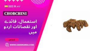 Chobchini