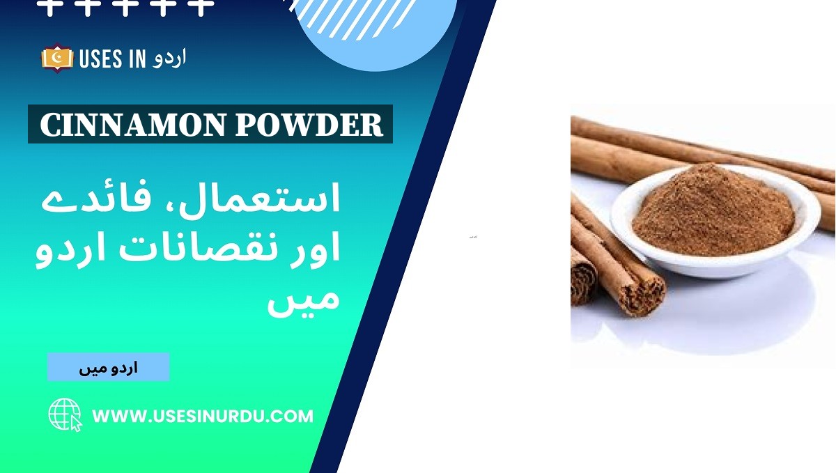 Cinnamon Powder